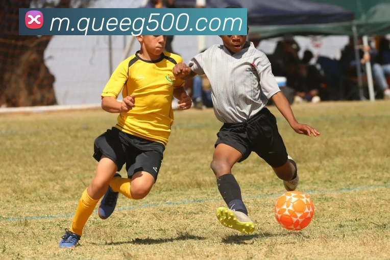 500彩票APP 高清赛事图